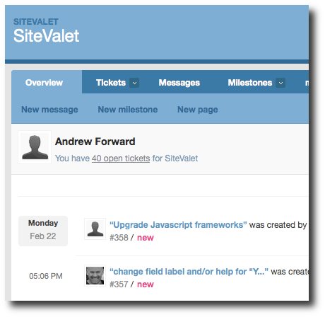SiteValet - Lighthouse defect tracking